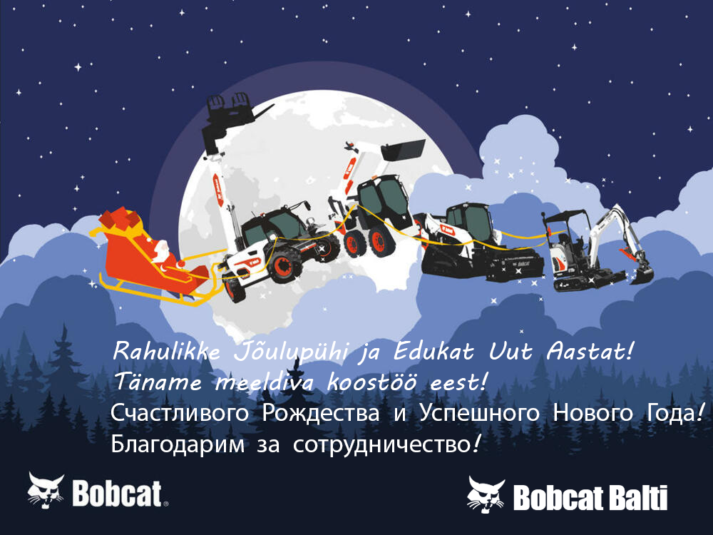 Rahulikke Jõulupühi ja Edukat Uut Aastat!